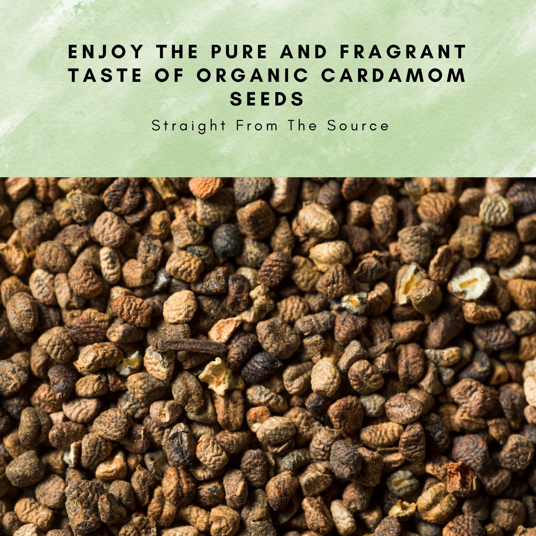 Organic Cardamom Seeds — USDA Certified | Chai, Coffee & Indian Desserts