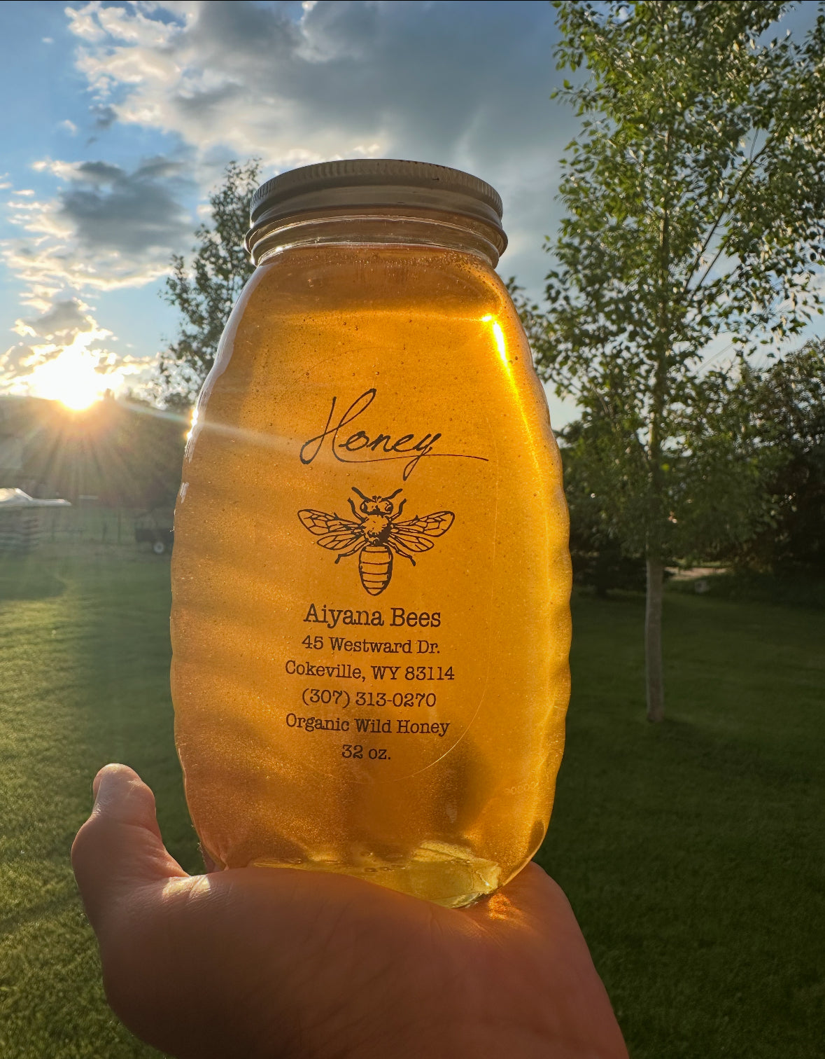 Wyoming Honey