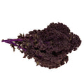 Organic Kale (Scarlett)