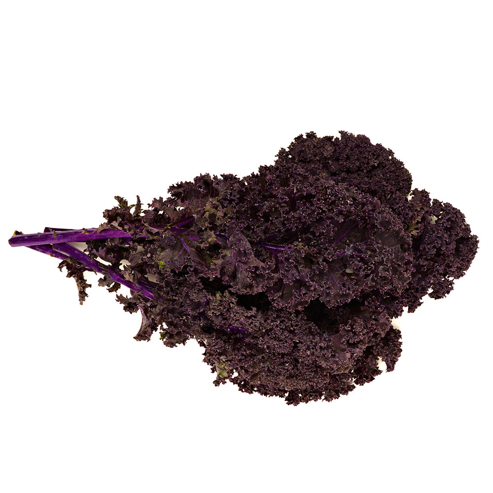 Organic Kale (Scarlett)
