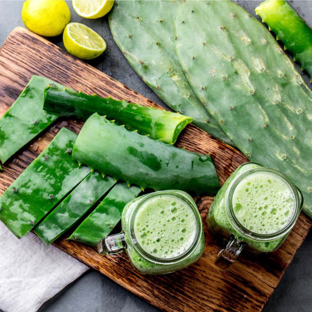 Organic Aloe Vera Powder – Inner Leaf Gel Only, Heavy Metal Tested | USDA Certified Organic