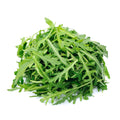 Organic Arugula