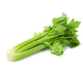 Organic Celery
