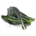 Organic Kale (Toscano)