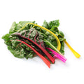 Organic Swiss Chard