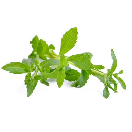 Organic Stevia Leafs