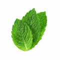 Organic Mint