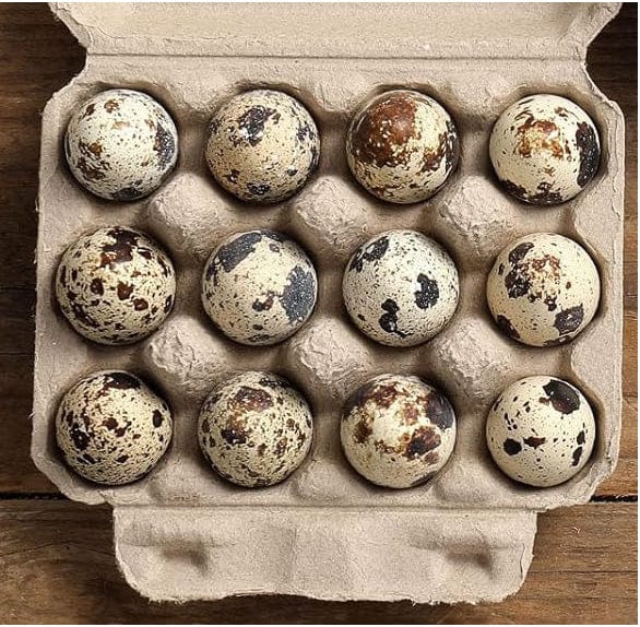 4 Dozen Farm Fresh n Tasty Organic Jumbo Quail Eggs