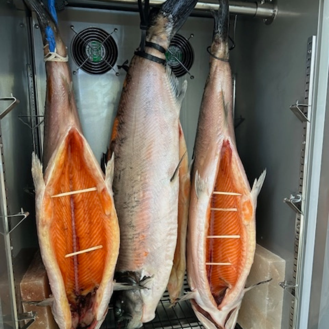 Ora King Salmon Dry Aged - Premium Flavor and Texture