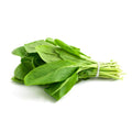 Organic Sorrel